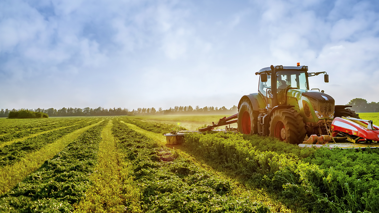 Business Process Optimization for Manufacturing Company